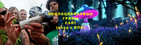 трава Нефтегорск