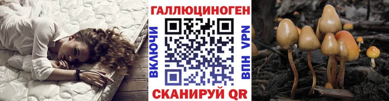 Галлюциногенные грибы Psilocybe  где продают   Симферополь 