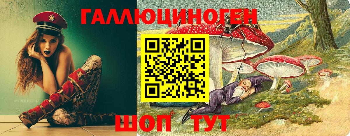 Симферополь  Псилоцибиновые грибы GOLDEN TEACHER  Вход с VPN  где можно купить наркотик  Псилоцибиновые грибы Magic Shrooms 